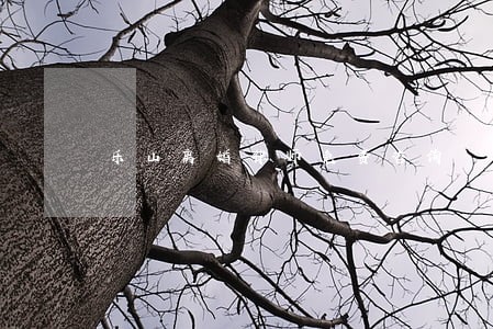 乐山离婚律师免费咨询 乐山离婚律师免费咨询