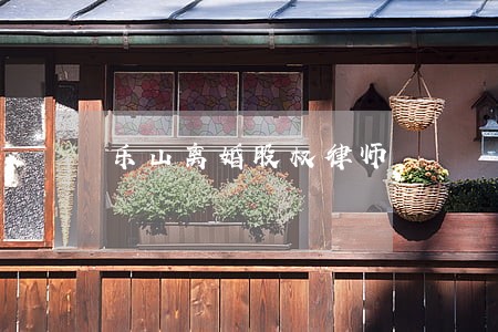 乐山离婚股权律师 乐山离婚股权律师