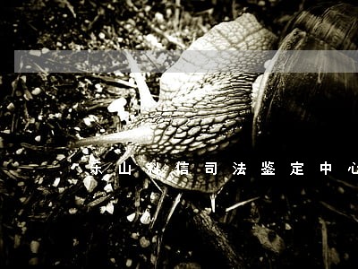 乐山科信司法鉴定中心在哪 乐山科信司法鉴定中心在哪
