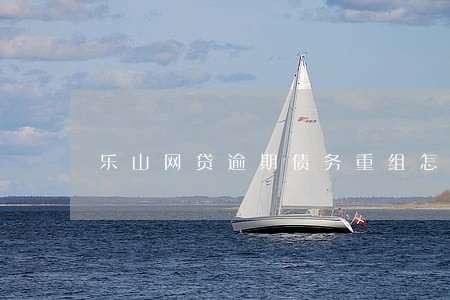 乐山网贷逾期债务重组怎么协商 乐山网贷逾期债务重组怎么协商