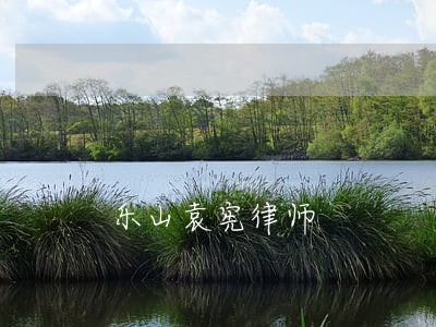 乐山袁宪律师