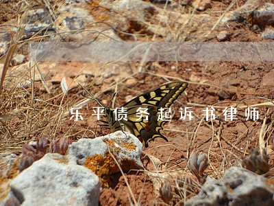 乐平债务起诉书律师 乐平债务起诉书律师