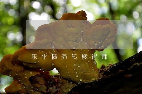 乐平债务转移律师
