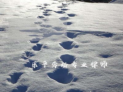 乐平劳动专业律师 乐平劳动专业律师