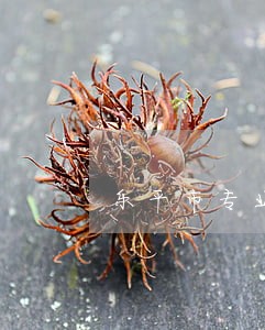 乐平市专业婚后财产纠纷律师 乐平市专业婚后财产纠纷律师