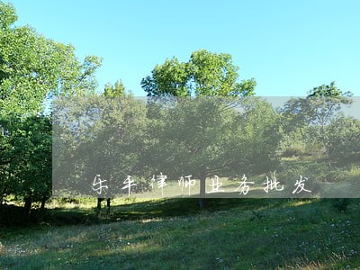 乐平律师业务批发 乐平律师业务批发