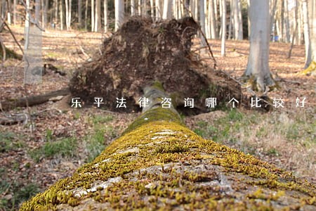 乐平法律咨询哪个比较好 乐平法律咨询哪个比较好