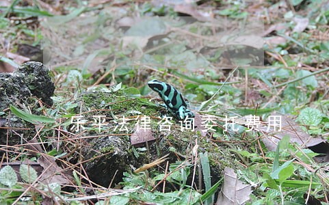 乐平法律咨询委托费用 乐平法律咨询委托费用