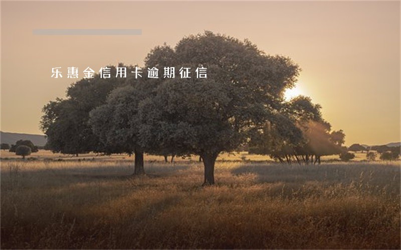 乐惠金信用卡逾期征信