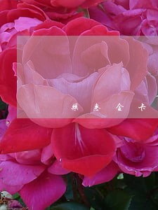 乐惠金卡逾期2天被冻结 乐惠金卡逾期2天被冻结