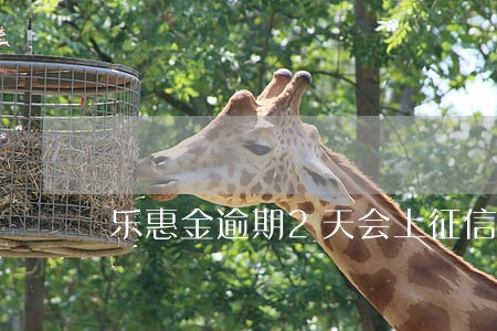 乐惠金逾期2天会上征信吗 乐惠金逾期2天会上征信吗