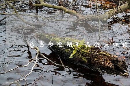 乐惠金逾期3天会上征信 乐惠金逾期3天会上征信