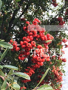 乐昌买房有逾期能贷款吗