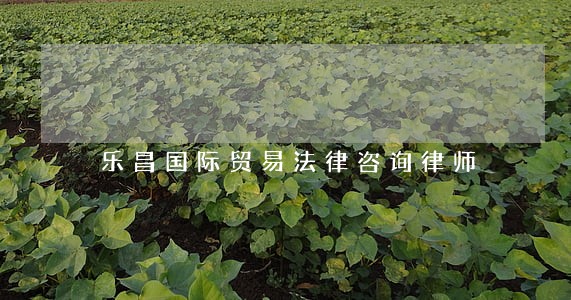 乐昌国际贸易法律咨询律师 乐昌国际贸易法律咨询律师