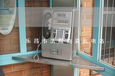 乐昌市法院拍卖火电站 乐昌市法院拍卖火电站