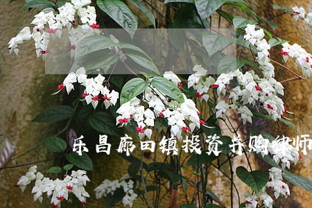 乐昌廊田镇投资并购律师