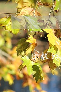 乐毅的刑法江湖的个人空间 乐毅的刑法江湖的个人空间