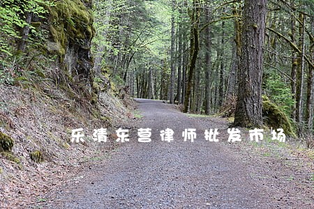 乐清东营律师批发市场 乐清东营律师批发市场