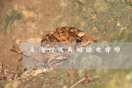 乐清代理离婚赔偿律师 乐清代理离婚赔偿律师