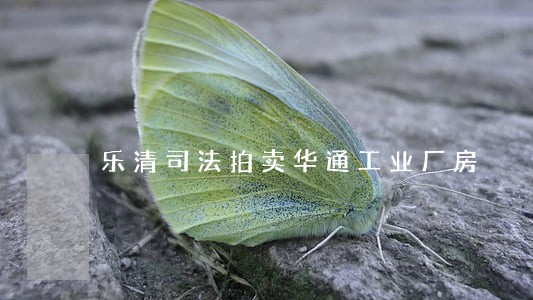 乐清司法拍卖华通工业厂房