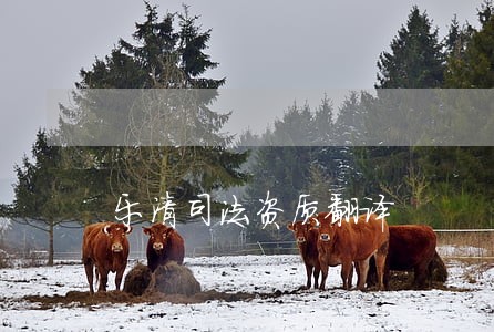 乐清司法资质翻译