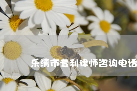 乐清市专利律师咨询电话 乐清市专利律师咨询电话