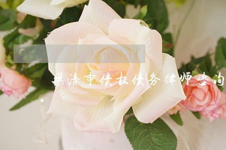 乐清市债权债务律师咨询电话 乐清市债权债务律师咨询电话