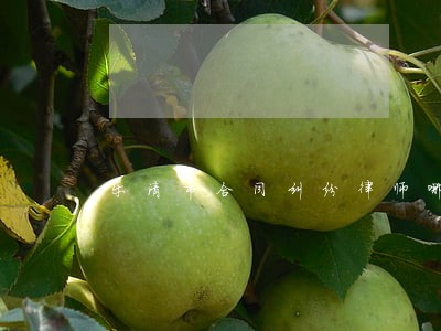 乐清市合同纠纷律师哪家好