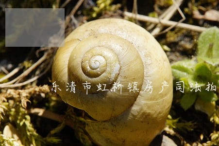 乐清市虹桥镇房产司法拍卖