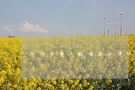 乐清市重大疑难案件律师电话 乐清市重大疑难案件律师电话