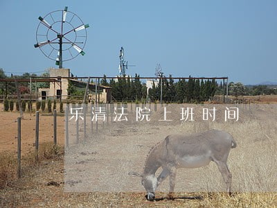 乐清法院上班时间 乐清法院上班时间