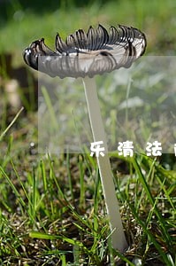 乐清法院住房公积金