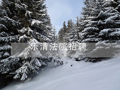 乐清法院招聘