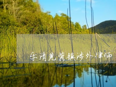 乐清芙蓉镇涉外律师 乐清芙蓉镇涉外律师