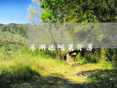 乐湖法院集资房 乐湖法院集资房