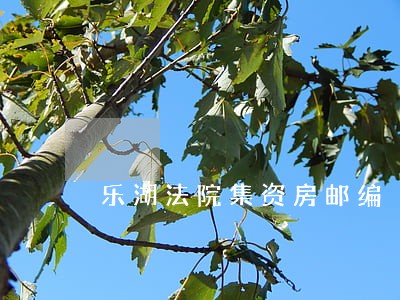 乐湖法院集资房邮编 乐湖法院集资房邮编