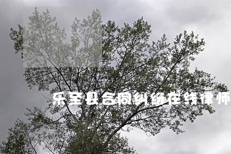 乐至县合同纠纷在线律师咨询
