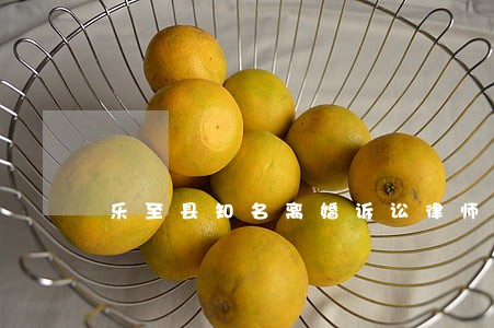 乐至县知名离婚诉讼律师 乐至县知名离婚诉讼律师