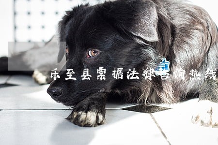 乐至县票据法律咨询热线