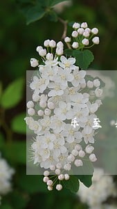 乐至县贷款担保纠纷处理律师 乐至县贷款担保纠纷处理律师