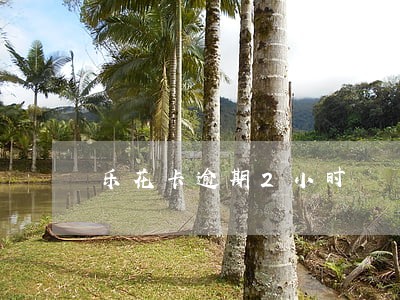 乐花卡逾期2小时 乐花卡逾期2小时