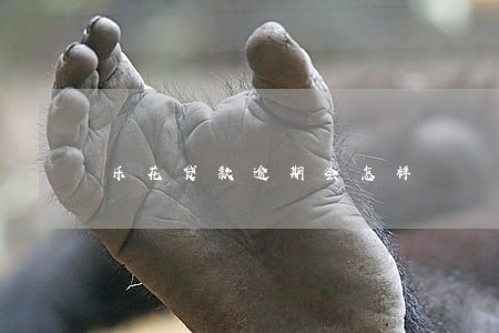乐花贷款逾期会怎样 乐花贷款逾期会怎样