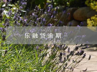 乐融贷逾期 乐融贷逾期
