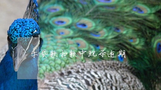 乐贷款扣款中现示逾期 乐贷款扣款中现示逾期