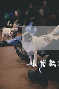 乐贷款能逾期多少天 乐贷款能逾期多少天