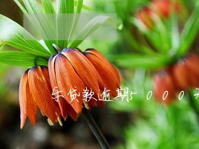 乐贷款逾期5000元 乐贷款逾期5000元