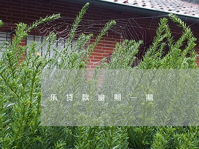 乐贷款逾期一期 乐贷款逾期一期