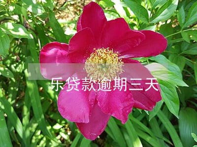乐贷款逾期三天 乐贷款逾期三天