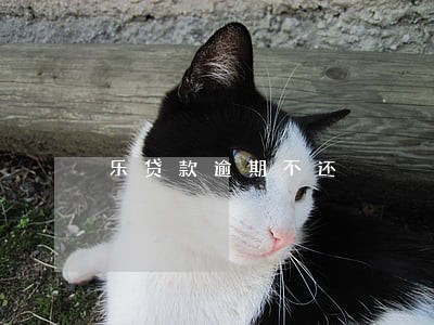 乐贷款逾期不还 乐贷款逾期不还