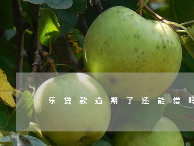 乐贷款逾期了还能借吗 乐贷款逾期了还能借吗